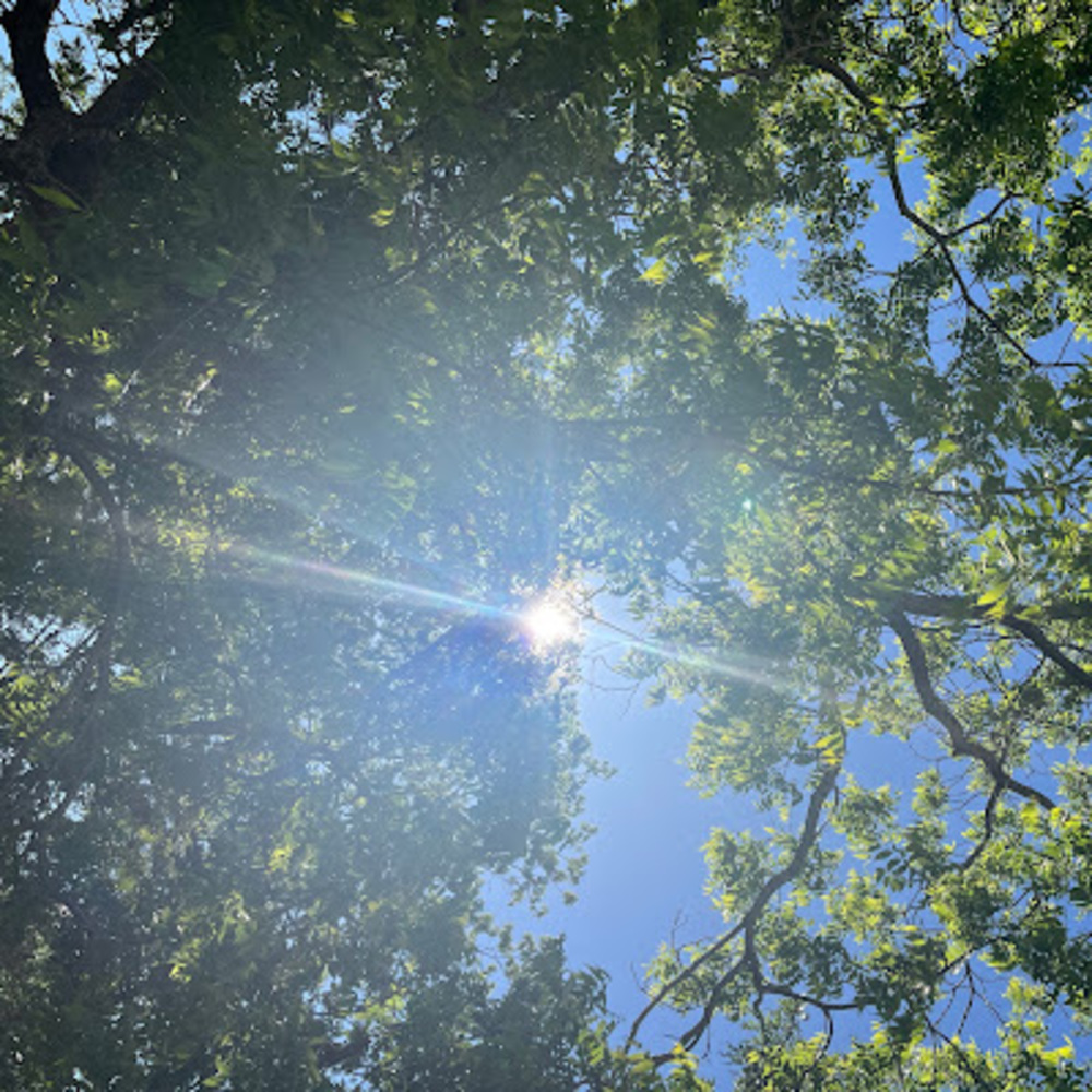 Meet your Posher, Shawn